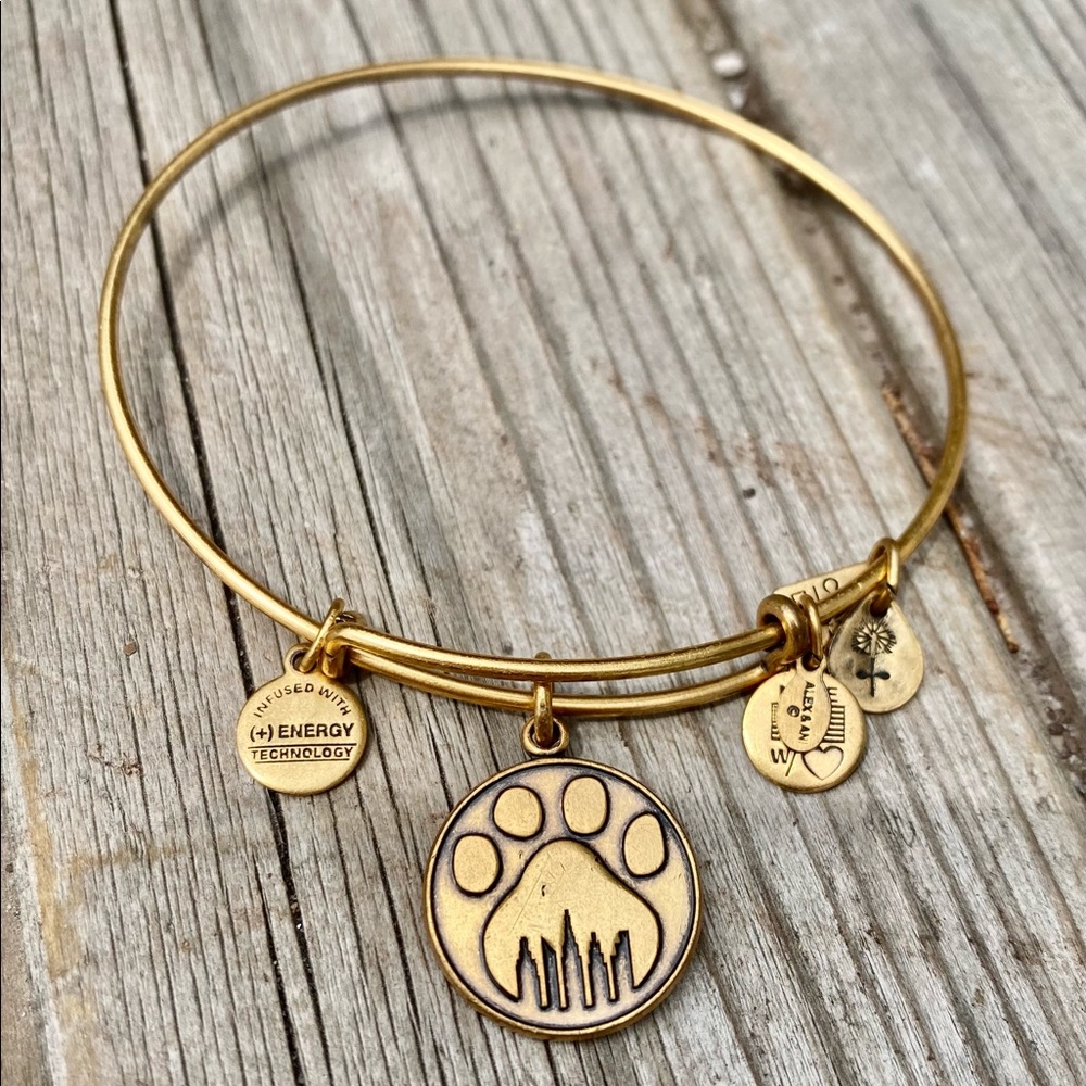Retired Alex & Ani Paw NYC skyline Charm Bracelet